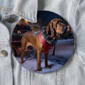 Badge Rond 15,2 Cm Saison Festive de Noël de Bloodhound (En situation)