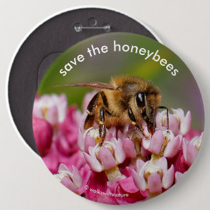Badge Rond 15,2 Cm Sauvez les abeilles domestiques Pollinant Narrowle