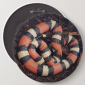 Badge Rond 15,2 Cm Serpent de lait de Pueblan (Devant & derrière)