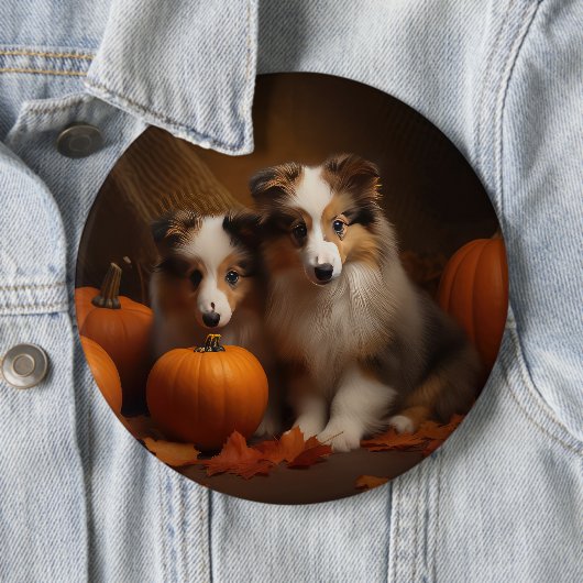 Badge Rond 15,2 Cm Shetland Sheepdog Chiot Chiot Automne Citrouille d (En situation)