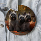 Badge Rond 15,2 Cm Skye Terrier Chiot Automne Citrouille délice (En situation)