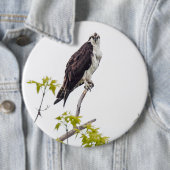 Badge Rond 15,2 Cm Staring Osprey (En situation)