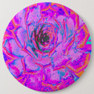 Badge Rond 15,2 Cm Succulent Sedum Rosette Violet et Magenta
