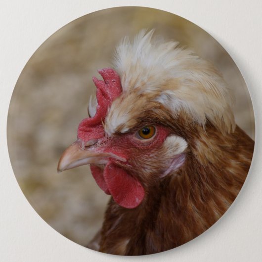 Badge Rond 15,2 Cm Sulmtaler Hen (Devant)