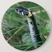 Badge Rond 15,2 Cm Tête de serpent (Devant)