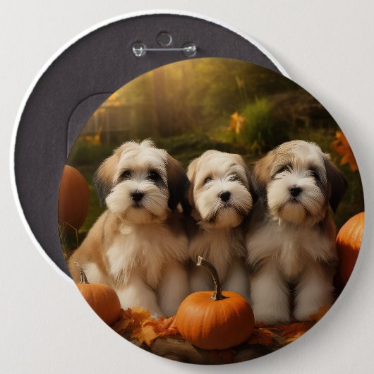 Badge Rond 15,2 Cm Tibétain Terrier Chiot Automne Citrouille délice (Devant & derrière)