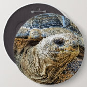 BADGE ROND 15,2 CM TORTOISE (Devant & derrière)
