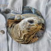 BADGE ROND 15,2 CM TORTOISE (En situation)