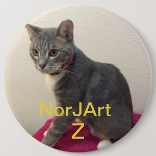 Badge Rond 15,2 Cm Toto le chat