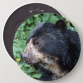 Badge Rond 15,2 Cm Tremarctos ornatus (Devant & derrière)
