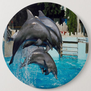 Badge Rond 15,2 Cm Trio-de-dauphins, bouton