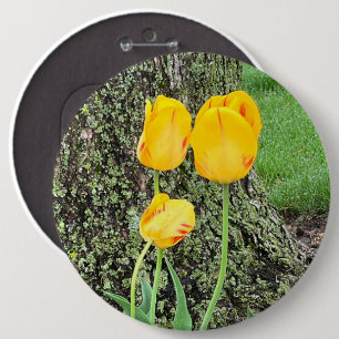 Badge Rond 15,2 Cm Trois Tulipes Jaunes /