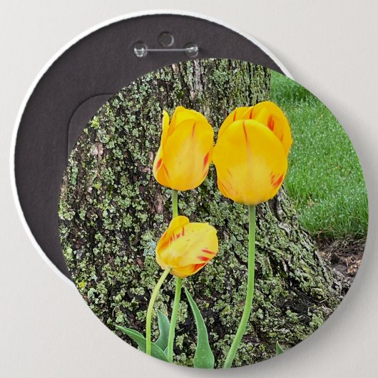 Badge Rond 15,2 Cm Trois Tulipes Jaunes / (Devant & derrière)