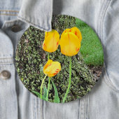Badge Rond 15,2 Cm Trois Tulipes Jaunes / (En situation)