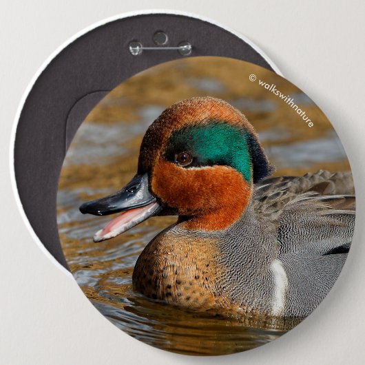 Badge Rond 15,2 Cm Un canard Turquoise à ailes vertes chatté à l'étan (Devant & derrière)