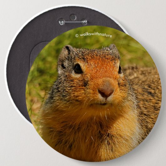 Badge Rond 15,2 Cm Un écureuil terrestre colombien à nez twitté (Devant & derrière)