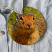 Badge Rond 15,2 Cm Un écureuil terrestre colombien à nez twitté (En situation)