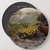 Badge Rond 15,2 Cm Uromastyx geyri (Devant & derrière)