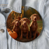 Badge Rond 15,2 Cm Vizsla Chiot Automne Citrouille délice (En situation)