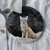 Badge Rond 15,2 Cm Vulpes corsac (En situation)