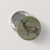 Badge Rond 2,50 Cm A33 Pronghorn Antelope Buck Crooked Horns (Devant & derrière)