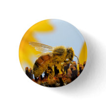 Abeille Pollen-Enduite de miel sur un bouton de