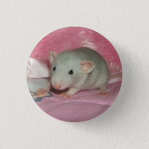 Badge Rond 2,50 Cm Abruti argenté russe de rat d'animal familier de