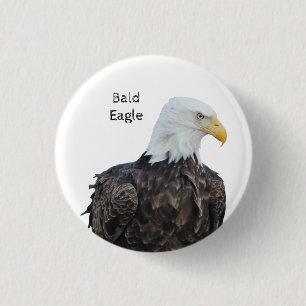 Badge Rond 2,50 Cm Aigle de Bald