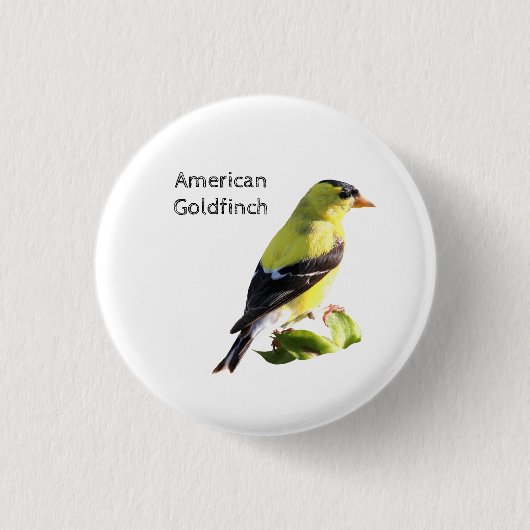 Badge Rond 2,50 Cm Américain Goldfinch (Devant)