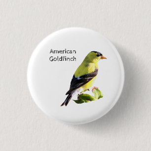 Badge Rond 2,50 Cm Américain Goldfinch