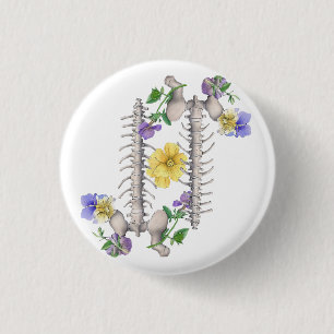Badge Rond 2,50 Cm Anatomie florale - Vertèbres, os iliaque
