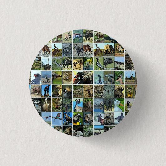 Badge Rond 2,50 Cm Animaux du monde (Devant)