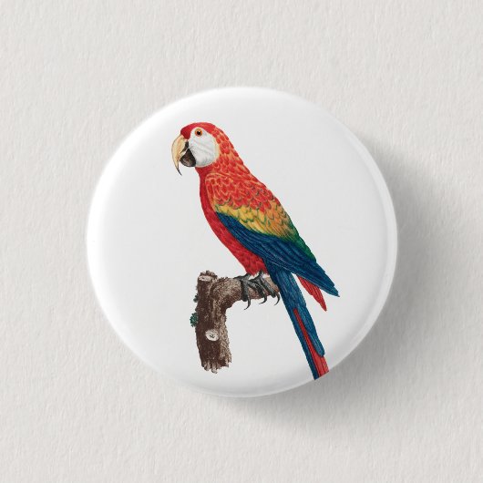 Badge Rond 2,50 Cm Ara Canga Parrot (Devant)