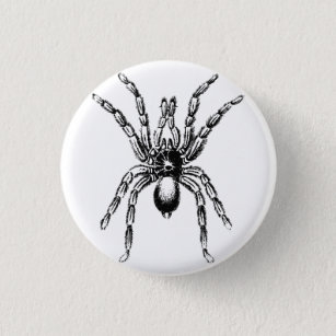 Badge Rond 2,50 Cm araignée tarantule