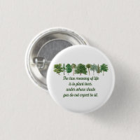 Arbres plantes Signification de la vie De l'enviro