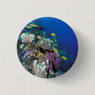 Badge Rond 2,50 Cm Around Small Coral