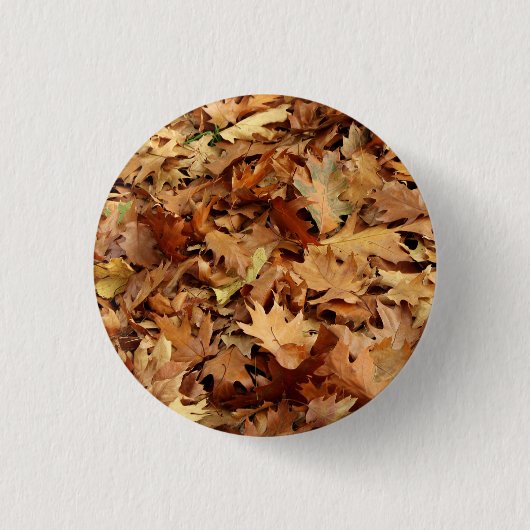 Badge Rond 2,50 Cm automne, feuille sec (Devant)