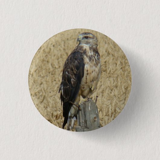 Badge Rond 2,50 Cm B36 Buse rouilleuse dans le champ de blé (Devant)