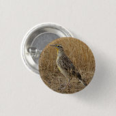 Badge Rond 2,50 Cm B57 Meadowlark occidental (Devant & derrière)