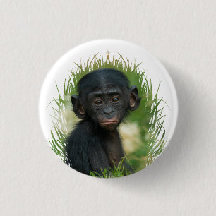Badge Rond 2,50 Cm Baby Ape dans l'herbe