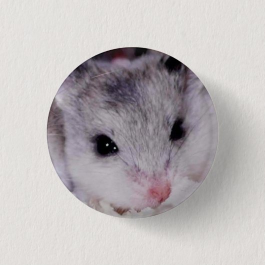 Badge Rond 2,50 Cm babyham (Devant)