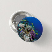 Badge Rond 2,50 Cm Banc de rougets autour d'un petit corail (Devant & derrière)