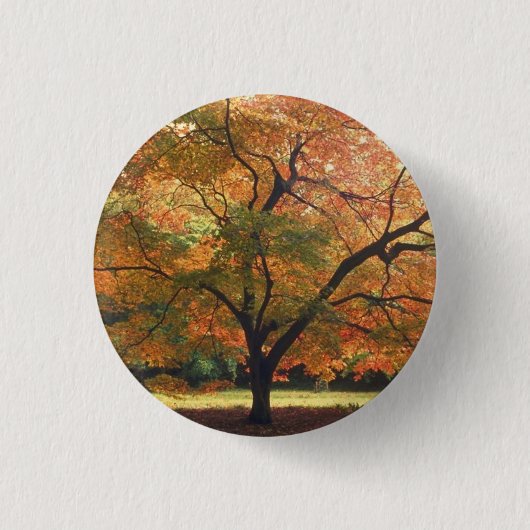 Badge Rond 2,50 Cm Beau arbre d'automne (Devant)