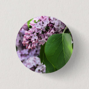 Badge Rond 2,50 Cm Beau bouton rond lilas