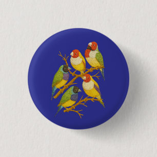 Badge Rond 2,50 Cm Beaux oiseaux sur la branche