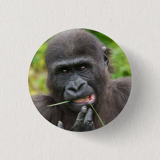 Badge Rond 2,50 Cm Bébé Gorilla Cuteness (Devant)