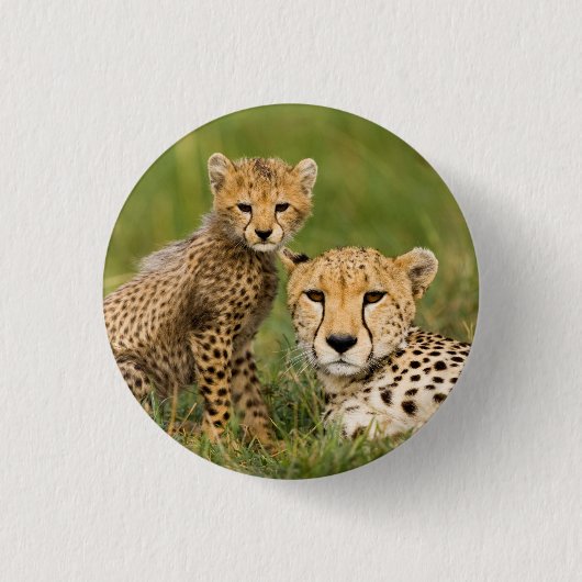 Badge Rond 2,50 Cm Bébé guépard et parent dans l'herbe (Devant)