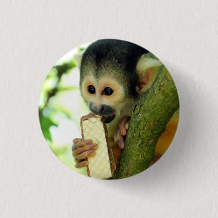 Badge Rond 2,50 Cm Bébé singe écureuil mignon mangeant un biscuit gau