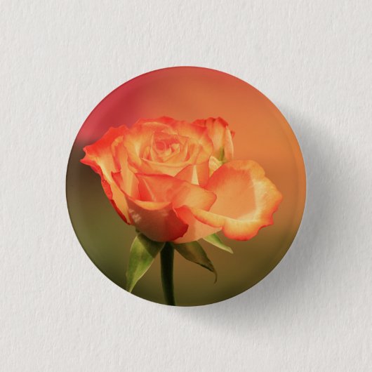 Badge Rond 2,50 Cm Belle photo de Rose romantique (Devant)