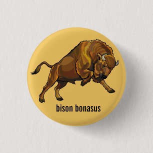 Badge Rond 2,50 Cm bison européen